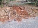 Robertson's cane and machete found at the scene in Jamestown