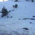 Trash And Debris Located Monday Near Little Sweden