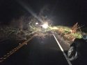 HWY 4 Tree down