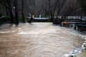 Murphys Creek at Algiers St., Jan. 10, 2017