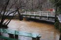 Murphys Creek at Algiers St., Jan. 10, 2017