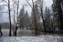 Flooding In Yosemite (1/9/17)