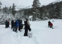 Sierra Nevada Snow Survey
