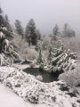 Snow in Soulsbyville (1-12-17)
