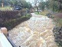 Sonora Creek 1/11/17