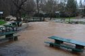 Flooding at Murphys Park, looking upstream from Algiers St., Feb. 20. 2017