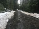 Old Strawberry Road