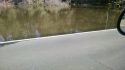 Parrotts Ferry Road flooding Friday (2-24-17)