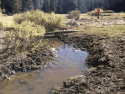 Photo submitted as evidence of alleged overgrazing near tributary stream