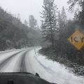 Snow Near Arnold (3/6/17)