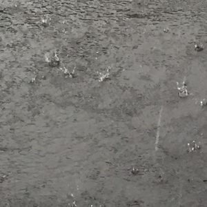 Heavy rain in Sonora