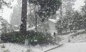 Snow Falling in Twain Harte, Mar 22, 2017