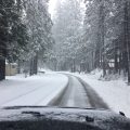 Sunday Snow Near Arnold