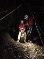 Rescuing Jack The Dog In Columbia