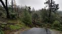 Storm Damage In Twain Harte