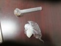 Drugs found in bust