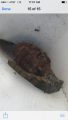 Grenade found in Sonora home