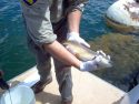 California Measure Would Combine Hunting/Fishing License