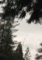 lightning