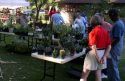 mastergardenplantsale