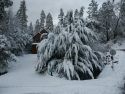 snowfall
