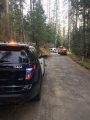 Response To Fatal Tree Removal Accident