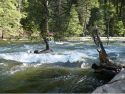 yosemite-merced-river-1