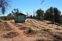 Mountain Ranch marijuana bust
