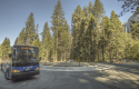 More Riders To Be Allowed On Yarts