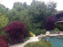 Swanson Garden