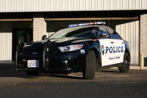 Angels Camp Police patrol car