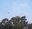 Columbia aircraft fighting vegetation fire at Blue Bell Road West in Sonora7-2