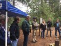 Presentation On Forest Thinning Efforts