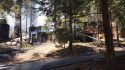 Pinecrest cabin fires arson