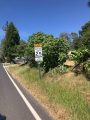 Drug bust during traffic stop in front of Soulsbyville Elementary School