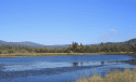 Phoenix Lake