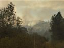 Spring Fire in Mariposa County