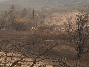 Detwiler Fire PGE Crew