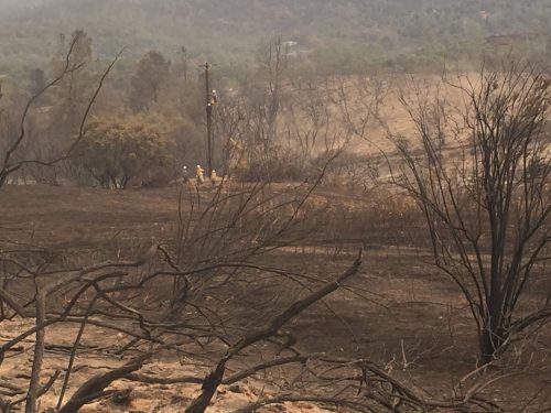 Detwiler Fire PGE Crew