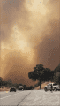 Spring Fire