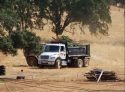 CCSO Evidence Photo Heiser Canyon Illegal Grow, Pre-eradication, Aug 2 2017