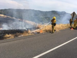 Mono Fire in Sonora