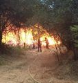 Stockton Road Fire