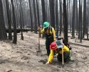 South Fork Fire burning in Yosemite