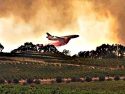 Twist Fire at the Gianelli Vineyards as the flames came within 100 yards of the back fence