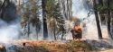 Railroad Fire near Yosemite