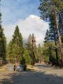 South Fork Fire in Yosemite