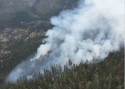 Douglas Fire