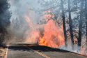 Murphy Fire