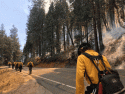 Railroad Fire